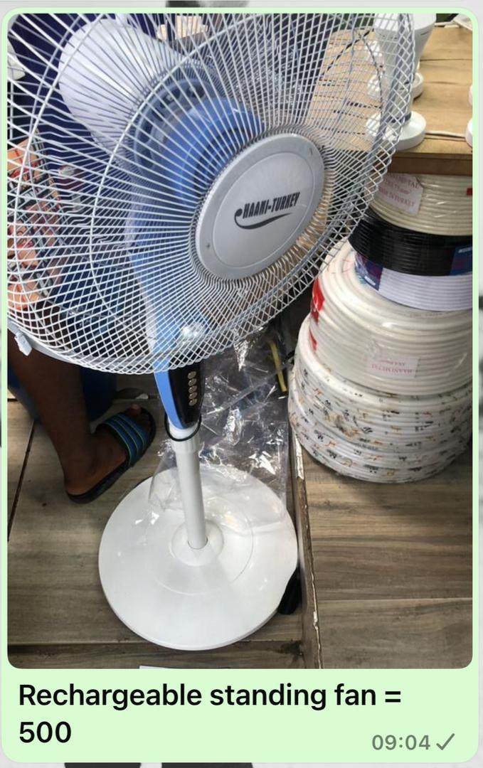 Rechargeable  standing Fan